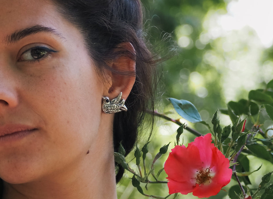 Colección joyas plata 