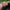 files/Endangered_Mina_Palmera_home.jpg