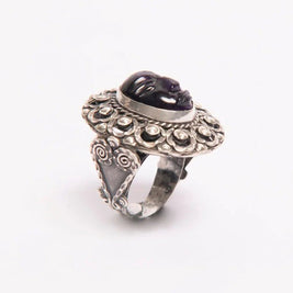 Anillo Luz
