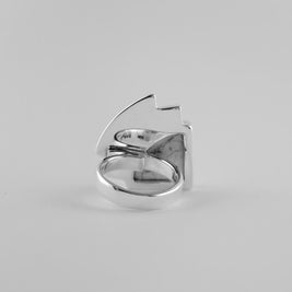 Anillo Arco luz