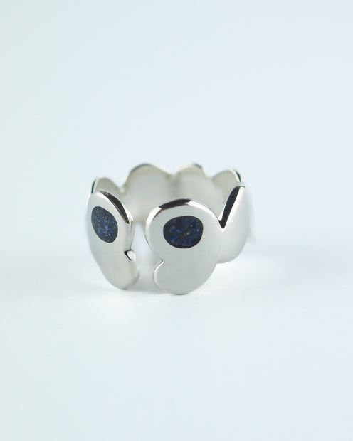 Anillo Ipotoc