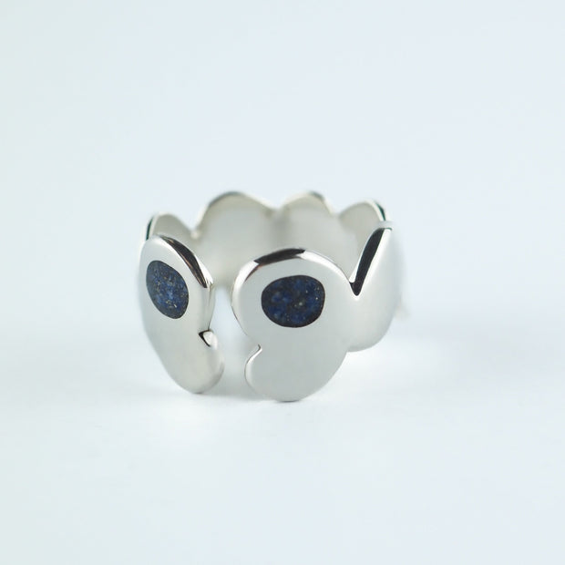Anillo Ipotoc