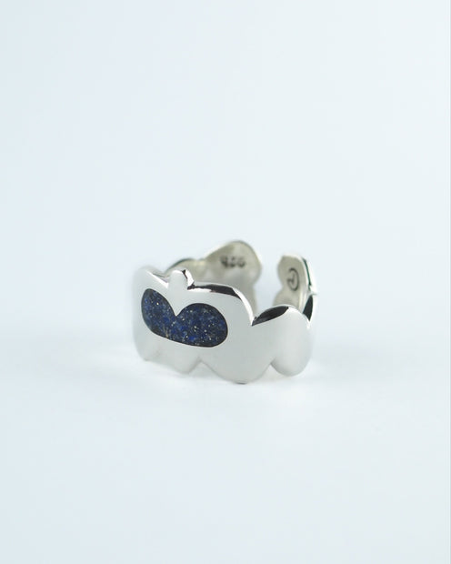Anillo Ipotoc