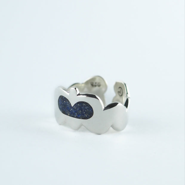 Anillo Ipotoc